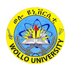 Wollo University